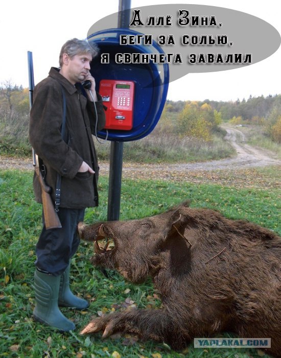 Фотожаба: Охотник у телефона