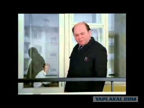 Моя жизнь в Штатах. Что можно купить на зарплату дворников
