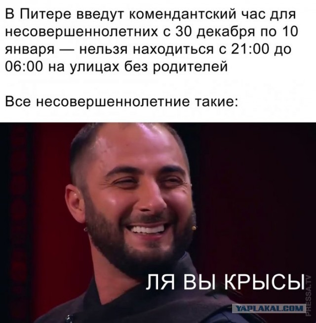 Ты краса да я крыса