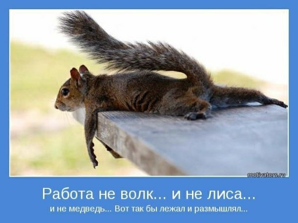 Мадам и месье, ещё раз бонжур