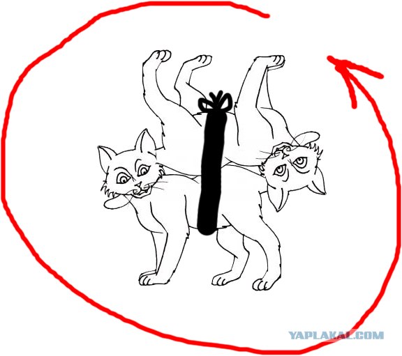 Закон бутерброда vs Закон падающей кошки