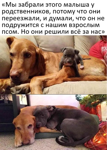 Картинки и мемы для настроения 01.12.2021
