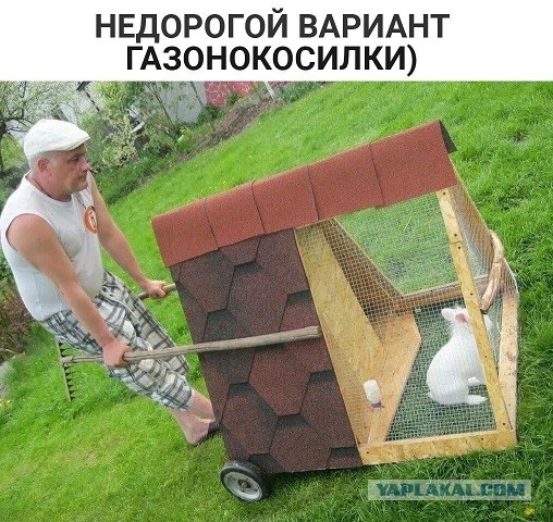 Так себе картинки 21.04.22