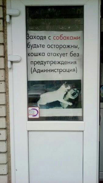 Так себе картинки 06.07.22