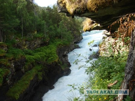 Деревня в которой я живу