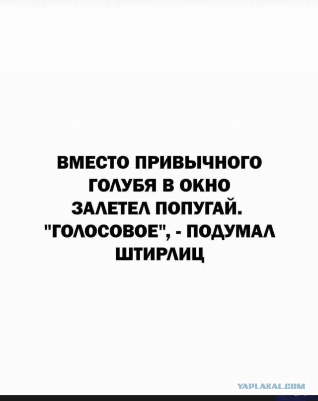 Почему голубятни были почти в каждом дворе советской Москвы?