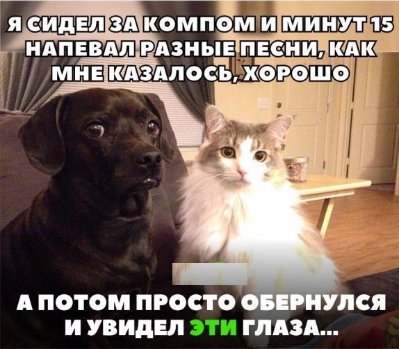 Картинки и мемы. Выходные близко...