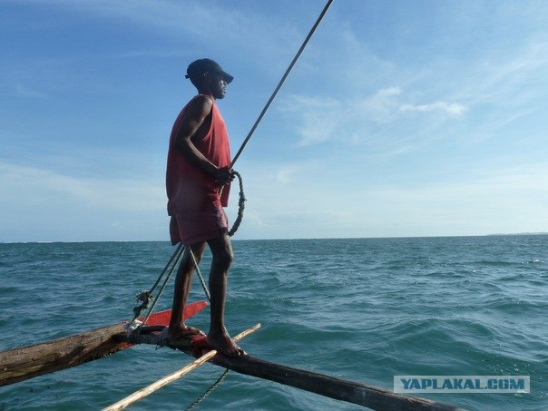 AFRICA - (Эфиопия,Кения,Танзация) 4-16 ноября 2011