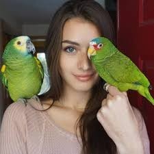 Девчонки