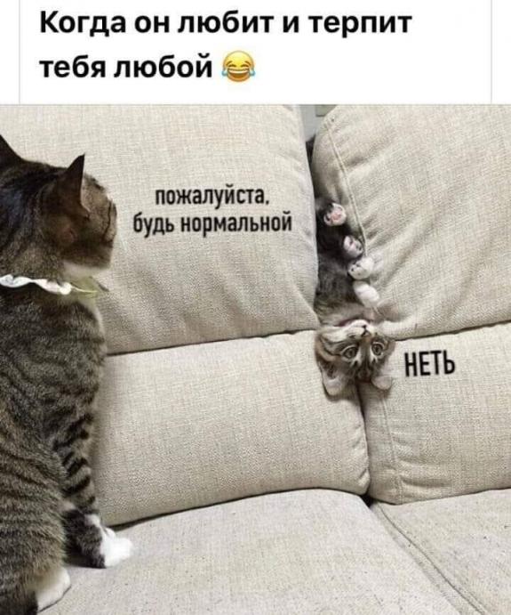 Картинки с надписями 28.01.23