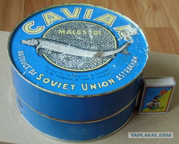 Баранина
