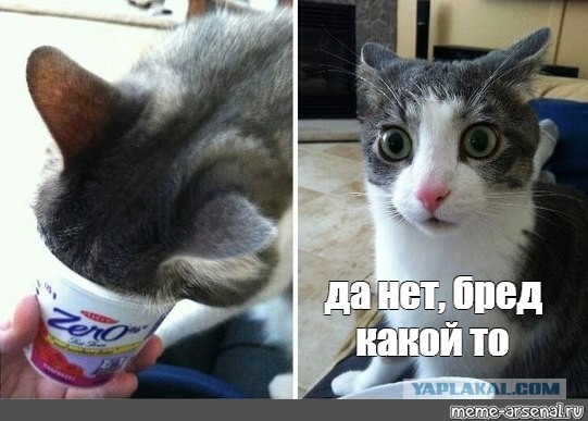 Сколько-сколько? Отельеры Сочи задрали цены на майские праздники так, что россияне выбрали Дубай