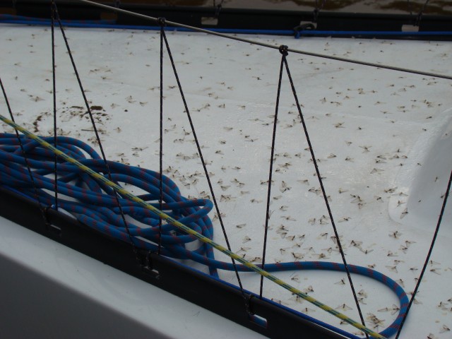 Трое в лодке