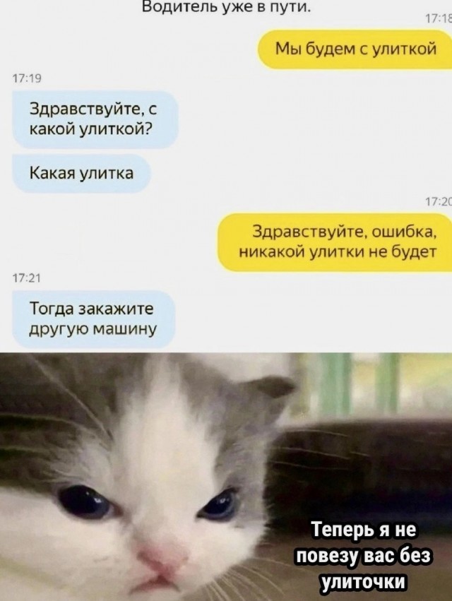 Юмор в картинках и без