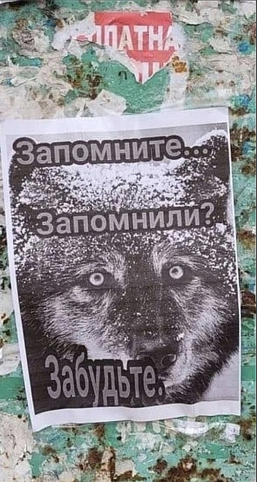 Так себе картинки 01.10.23