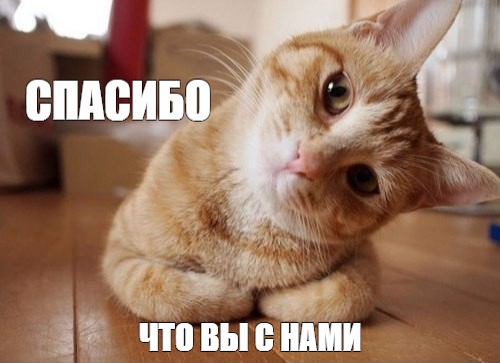 Спасибо человеческое за твою доброту!