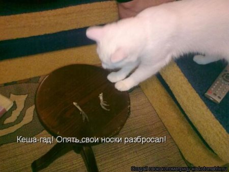 Изотопы и легкая наркомания