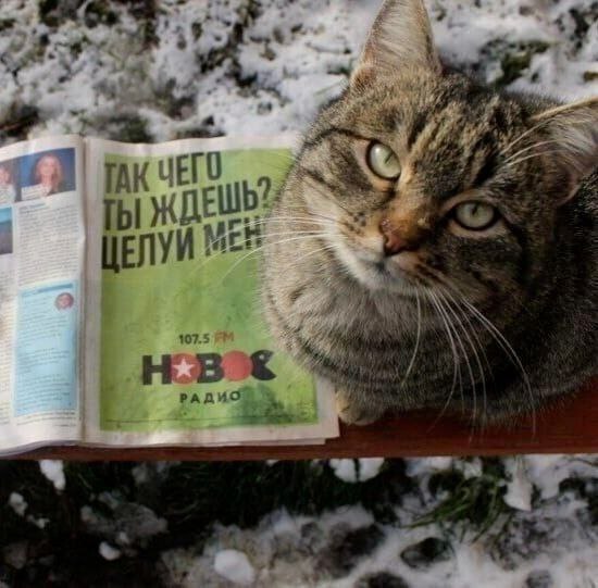 Так себе картинки 19.02.24