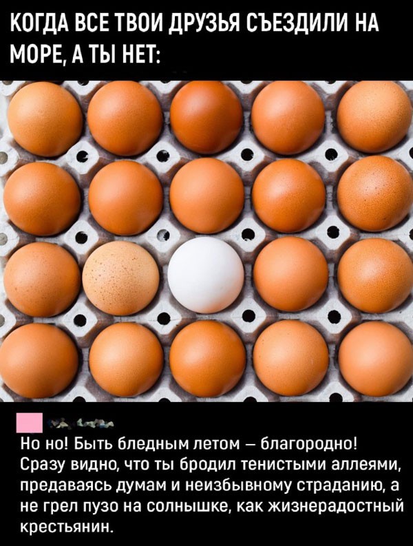 Немного обо всём