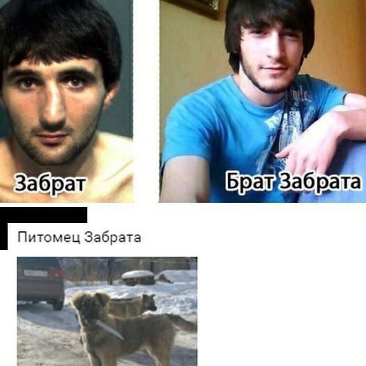 Братан, братуха, братунец