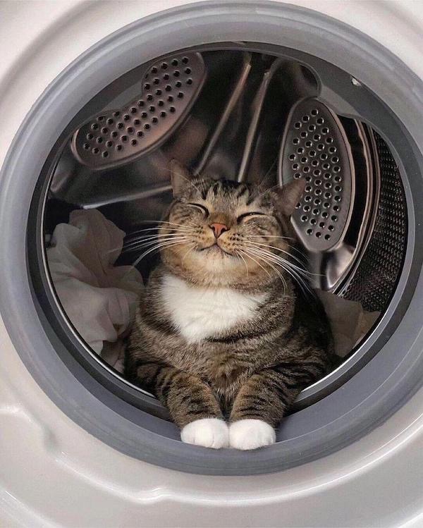 ФотоВинегрет