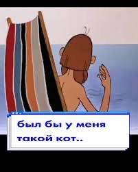 Кот на три двора