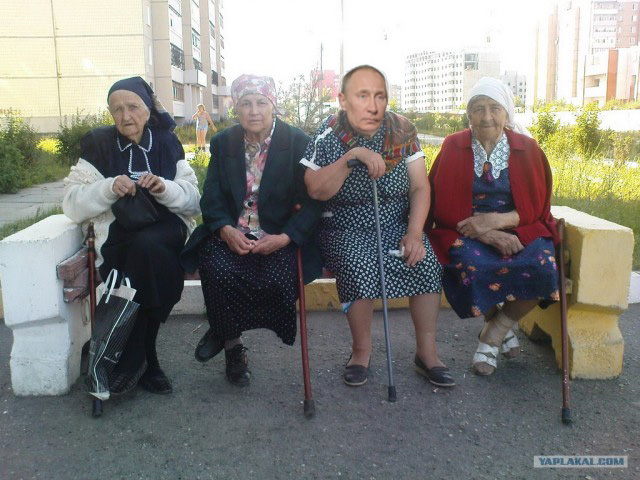 Грустный какойто, на лиса  похож