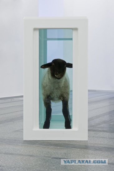 Requiem By Damien Hirst (жесть 20 фот)