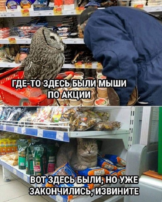 Картинки разные с надписями и без