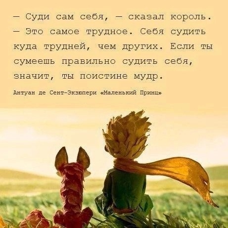 Так себе картинки 26.08.24