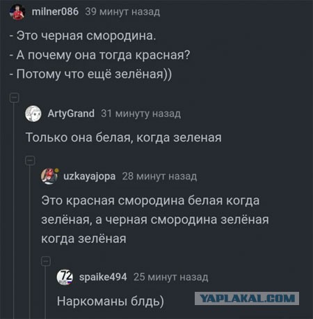 Давайте опубликуем