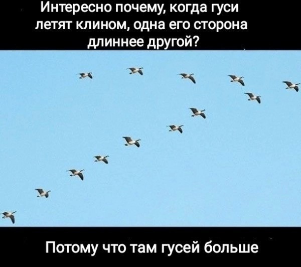 Так себе картинки 02.11.24