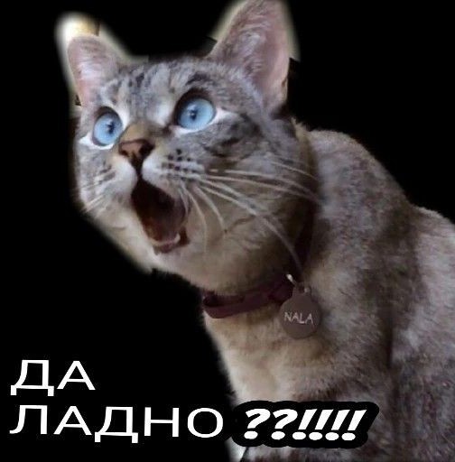 Из интервью соорганизатора гастролей Тины Тёрнер в Москве певицы Надежды Соловьёвой