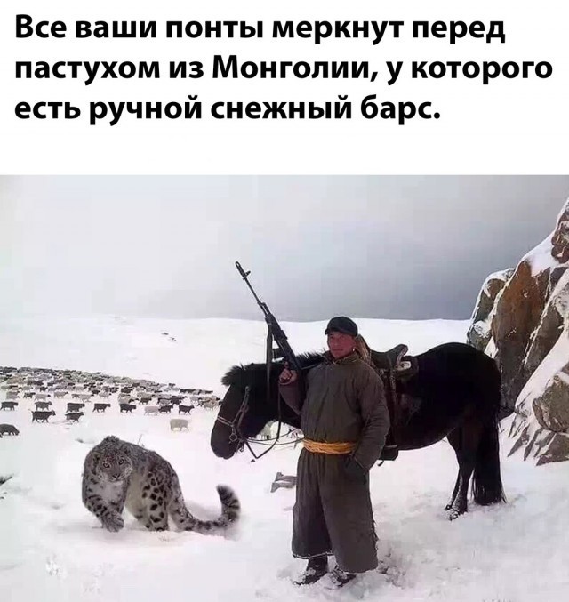 Тигр напал на человека