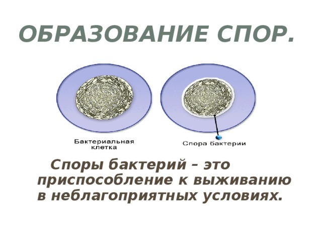 Таджики требуют выдавать им квартиры: Диаспора открыто выступила против новых инициатив