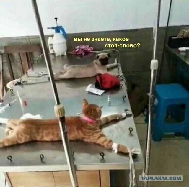 Так себе картинки 23.03.25