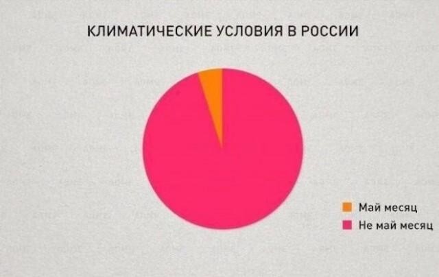 Юмор для тех, кто уже повзрослел и понял, что «личная жизнь» — это кот и плед