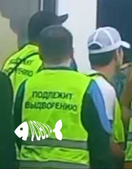 В аэропорту Нижнего Новгорода замечены модные жилеты для специалистов