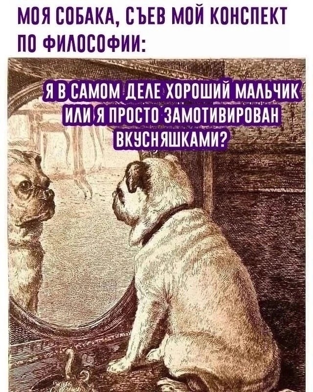 Так себе картинки 24.08.25