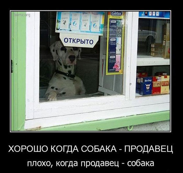Рамки, буквы, короче - опытная (ну, или старая) дичь