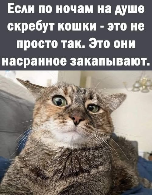 Куча-мала № 5