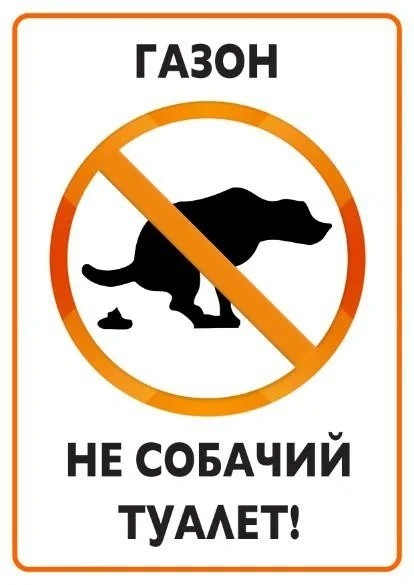 Просто бегущая собака