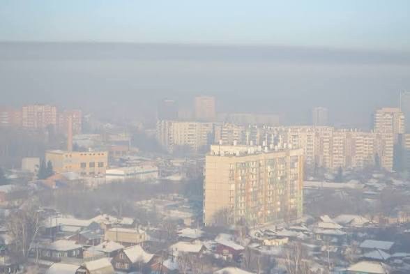 Врач посоветовала аллергикам уехать из Москвы на 2-3 недели в период пыления берёзы