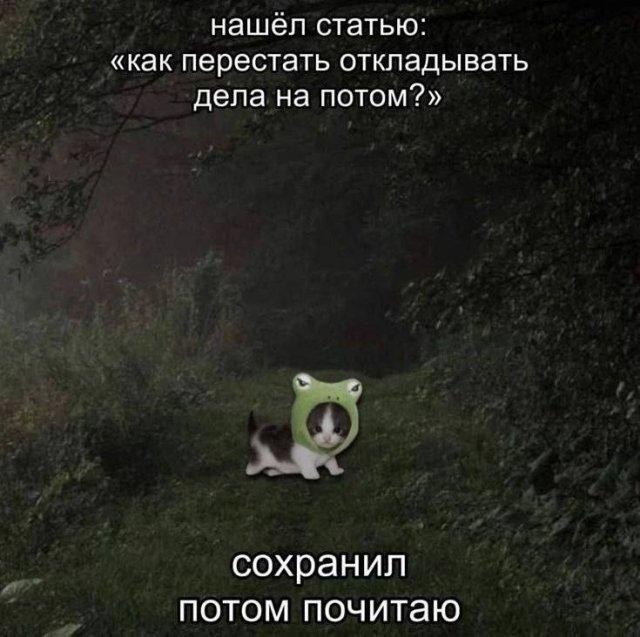 Всякой Хни вам в ленту, дорогие деграданты