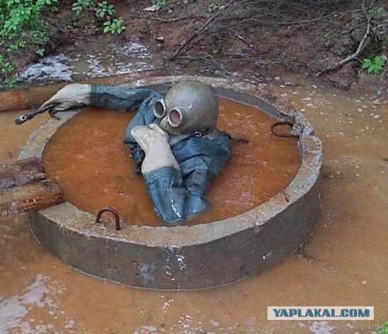 Г*вно вопрос?