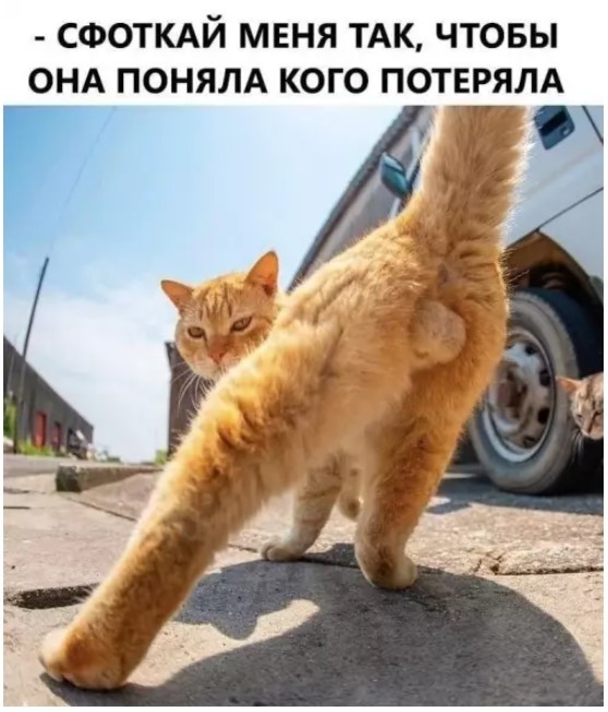 Картиночки, баянчики 09 июня