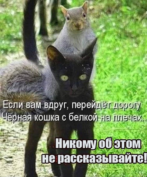 Картинки для деградации 236 (разной степени свежести)