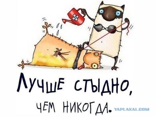 Сегодня отмечается Международный день БДСМ