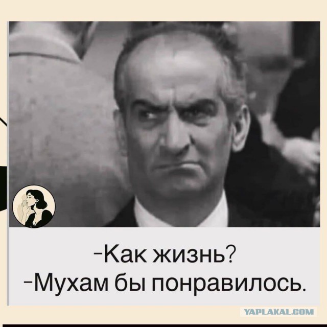 Обо всём