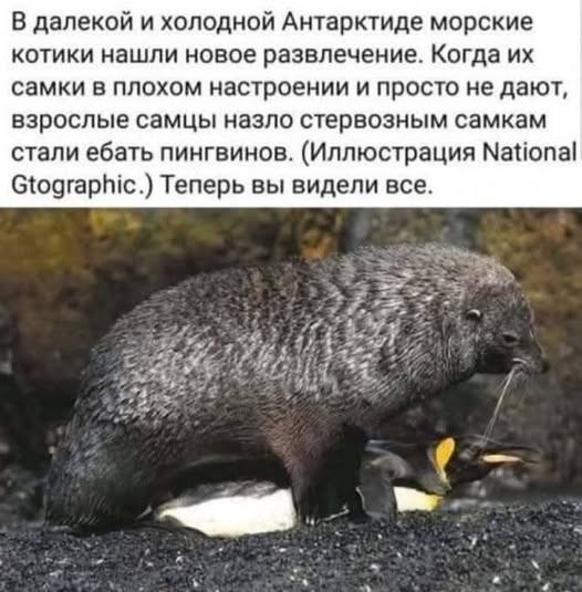 Картинки на среду